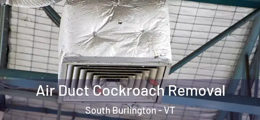  Air Duct Cockroach Removal South Burlington - VT