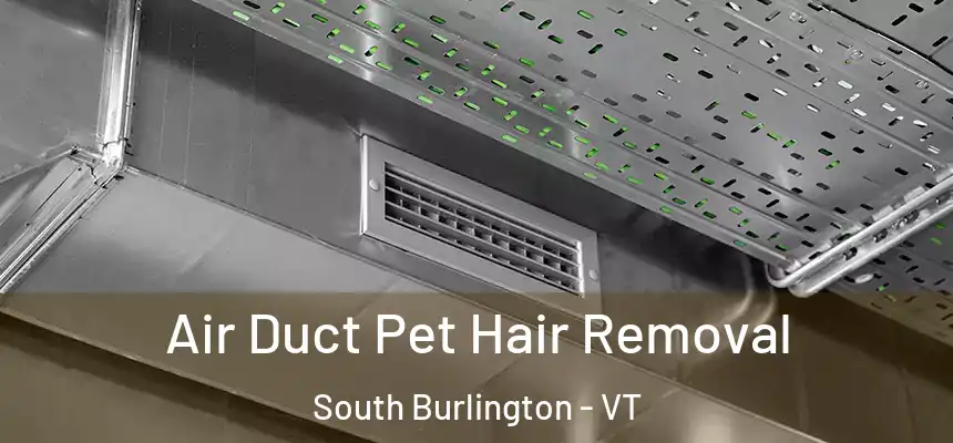  Air Duct Pet Hair Removal South Burlington - VT