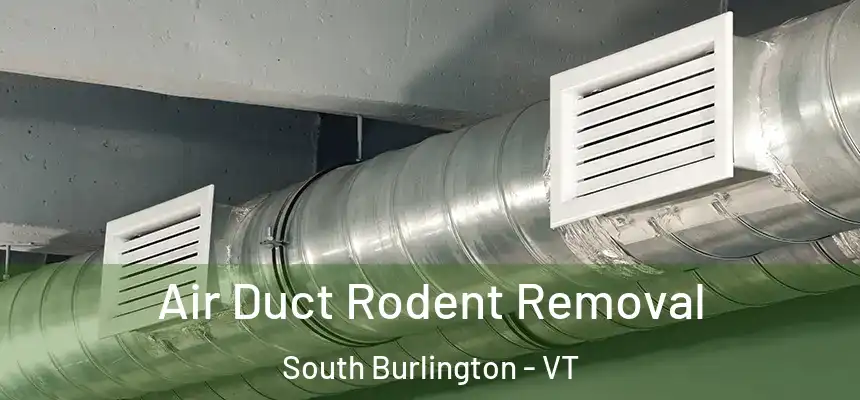  Air Duct Rodent Removal South Burlington - VT
