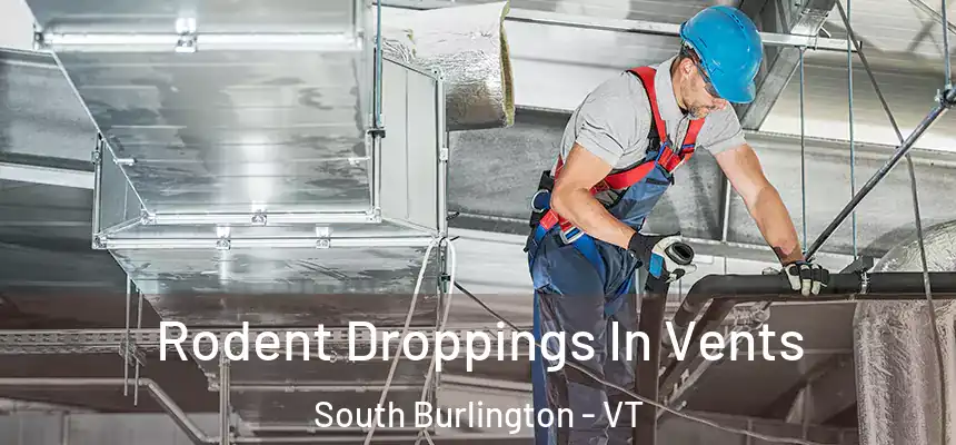  Rodent Droppings In Vents South Burlington - VT