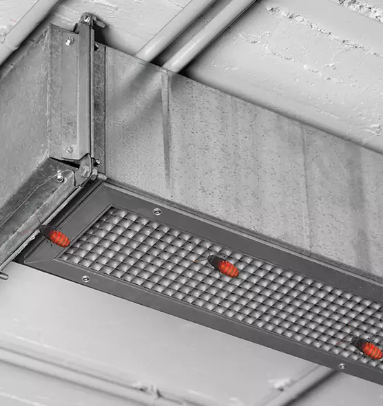 Affordable Insect Removal from Air Ducts in South Burlington, VT