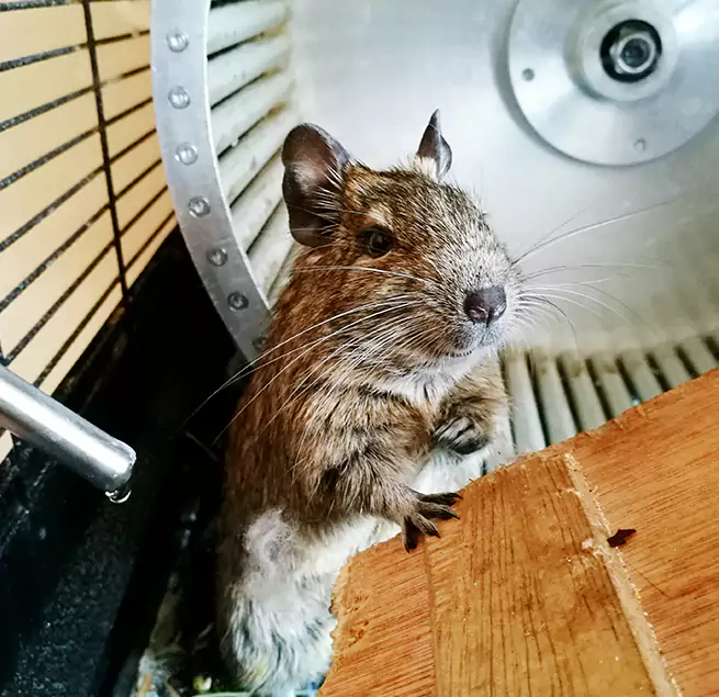 Why Homeowners & Businesses Trust Us South Burlington, VT?