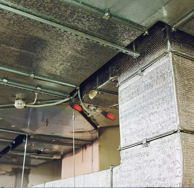 Why Homeowners & Businesses Trust Us South Burlington, VT?